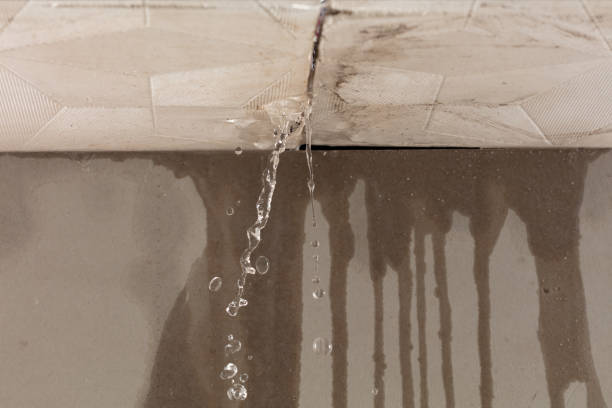 Professional Structural Drying technician working in Swanquarter, NC
